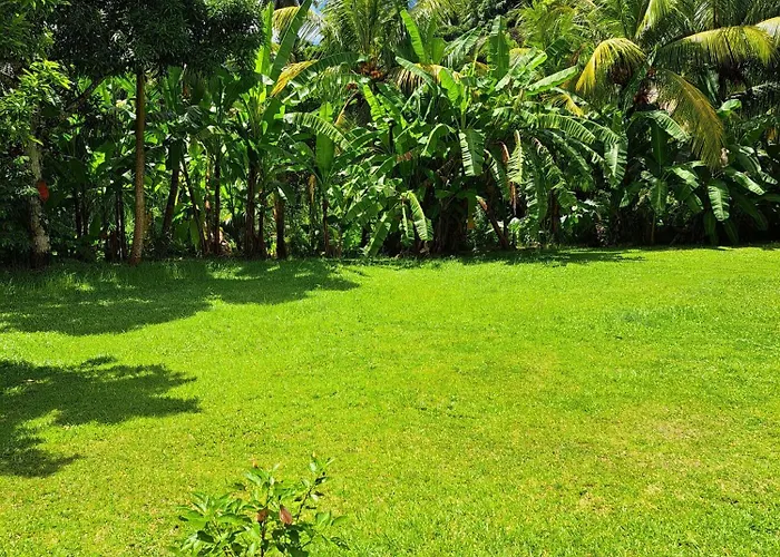 Island Of Grand Anse (Mahe)