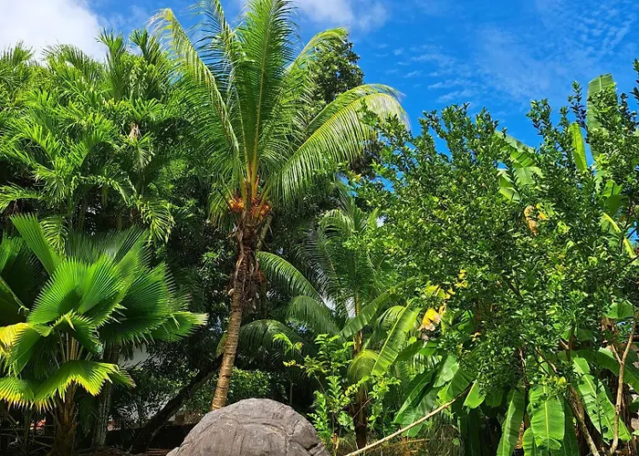 Island Of Vila Grand Anse (Mahe)