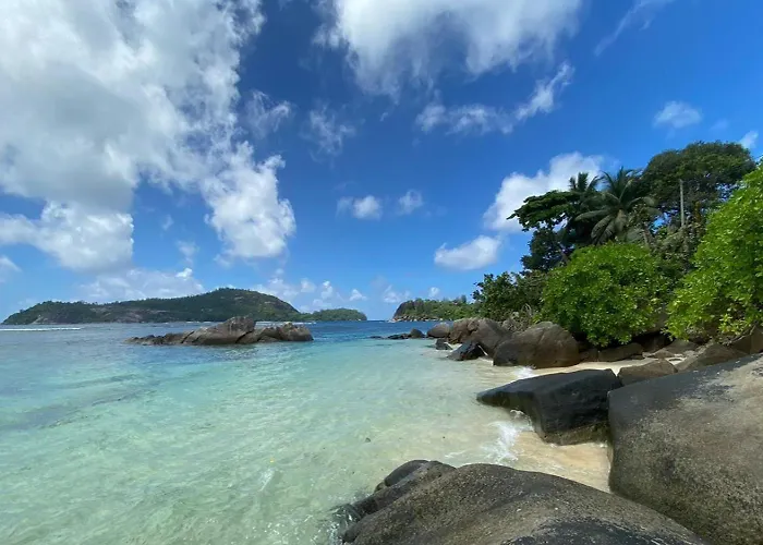 Island Of *
