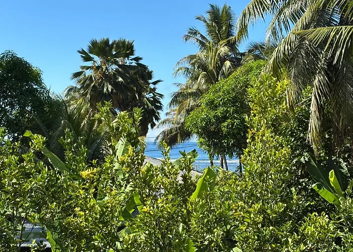 Island Of